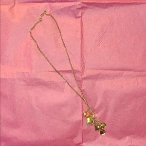 HP 🌈 Charlotte Russe Long Necklace